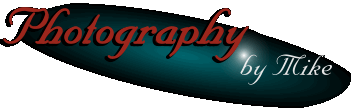 Photography by Mike