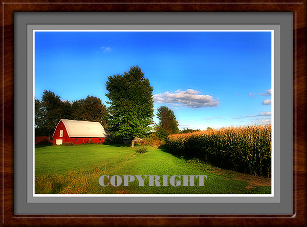 Landscapes